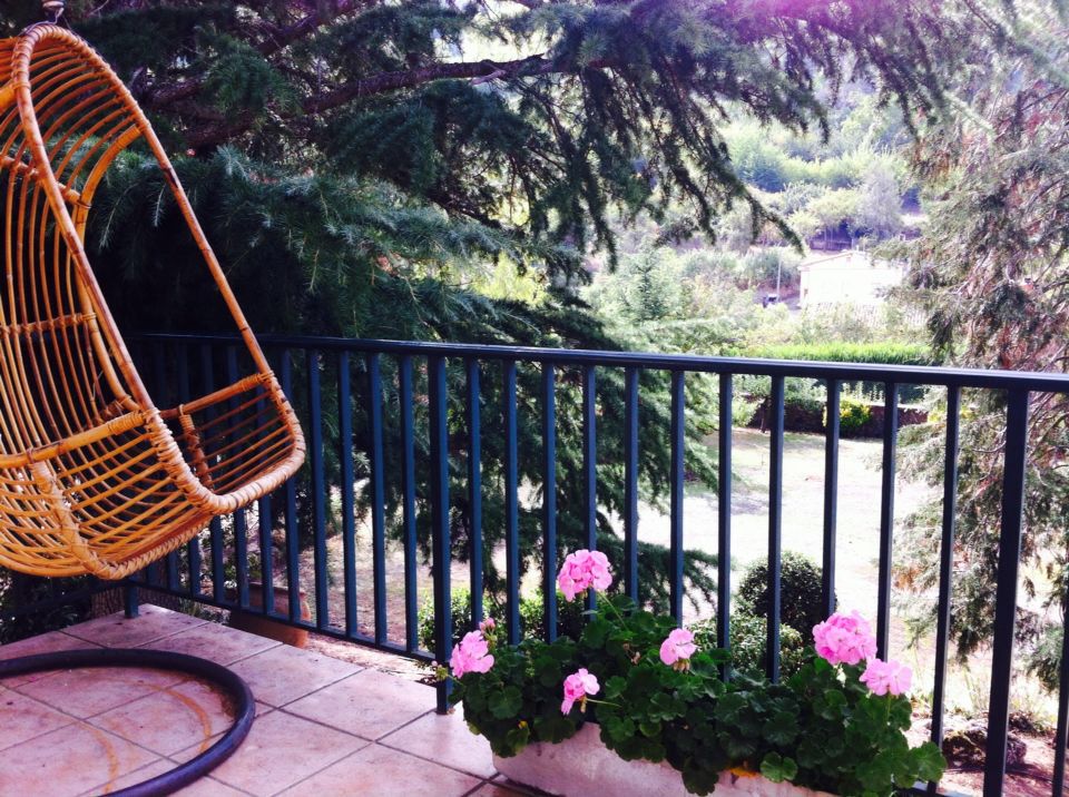 El jardín desde la terraza