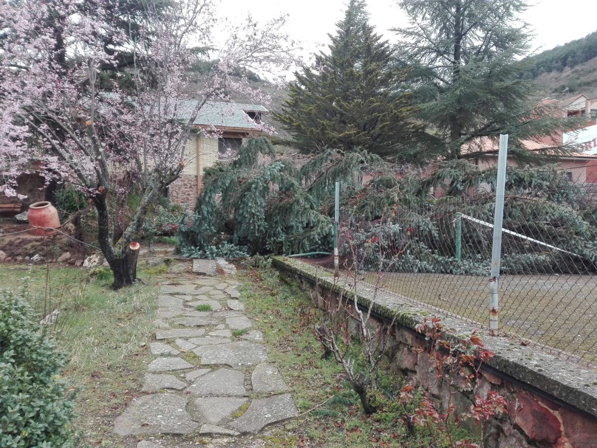 Acceso a pista de tenis